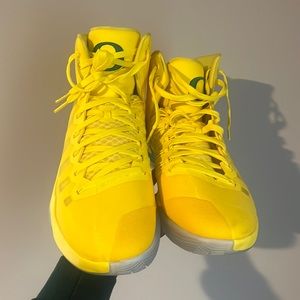Dillion Brooks Official Oregon Nikes